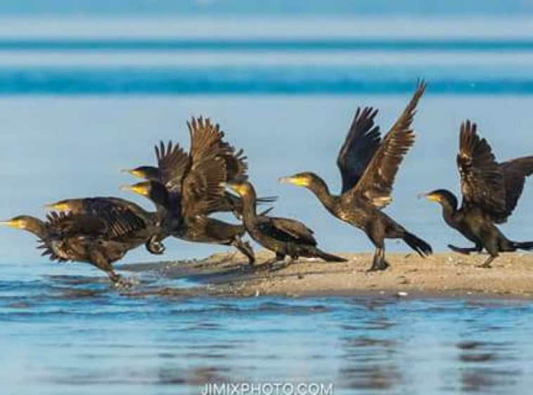 Rejsy po Zatoce Puckiej 