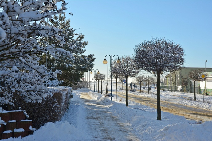 Zdjęcie 32