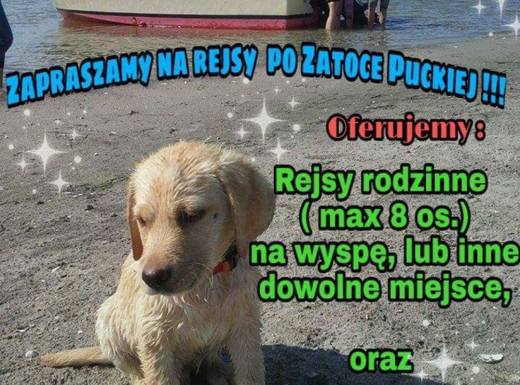 Rejsy po Zatoce Puckiej 